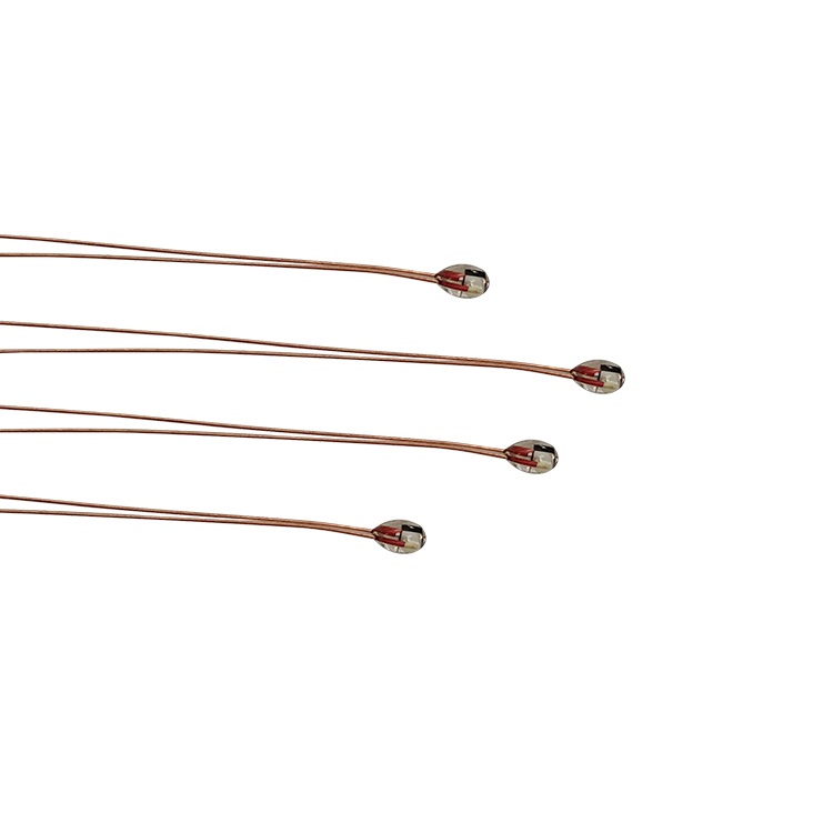 High temperature and waterproof glass encapsulated thermistor